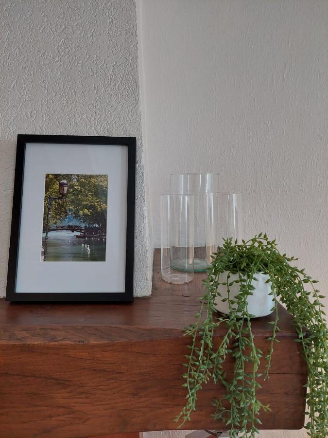 Le Vintage - Appartement En Plein Coeur De La Vieille Ville Annecy Eksteriør bilde
